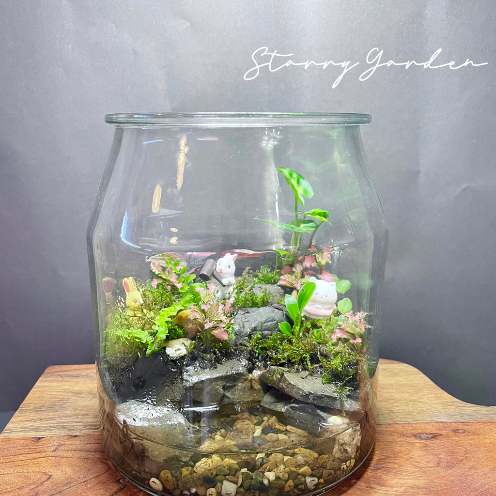 Customized Terrarium (Adelaide only) – starrygardenhouse